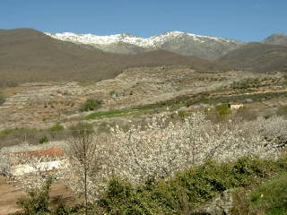 20060404012905-vallebello1vr.jpg