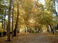 20061206211852-tmpphps1hux9.jpg