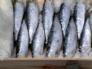 20070203141930-cd669f065-a.jpg